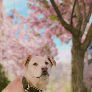 Meet your Posher, Rei